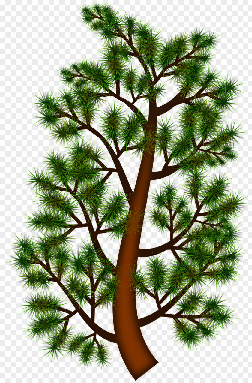 Tree Clip Art: Graphic Borders Image Vector Graphics PNG