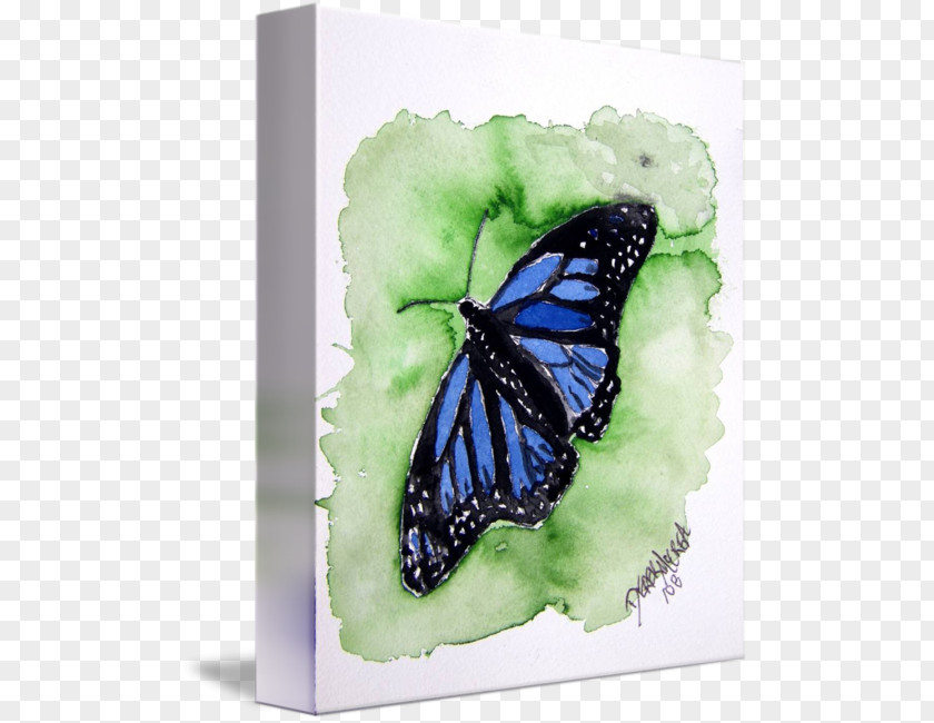 Butterfly Monarch Pieridae Brush-footed Butterflies Canvas PNG
