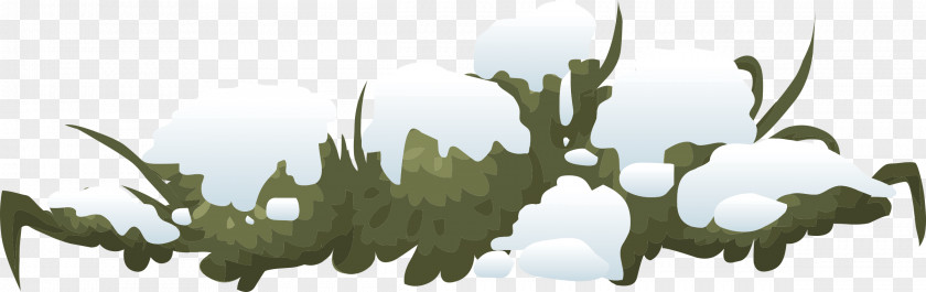 Fir-tree Shrub Snow Clip Art PNG