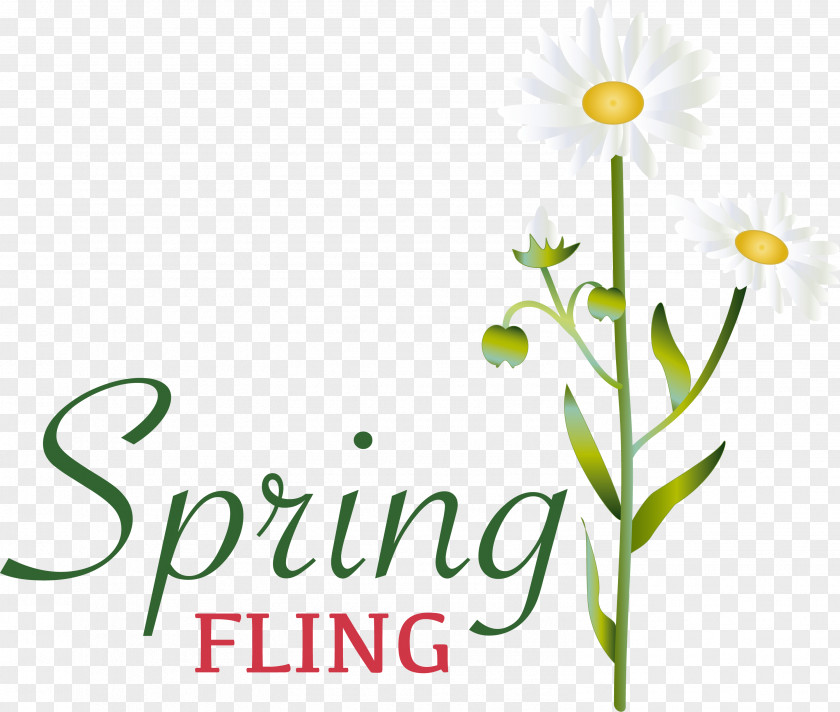 Floral Design PNG