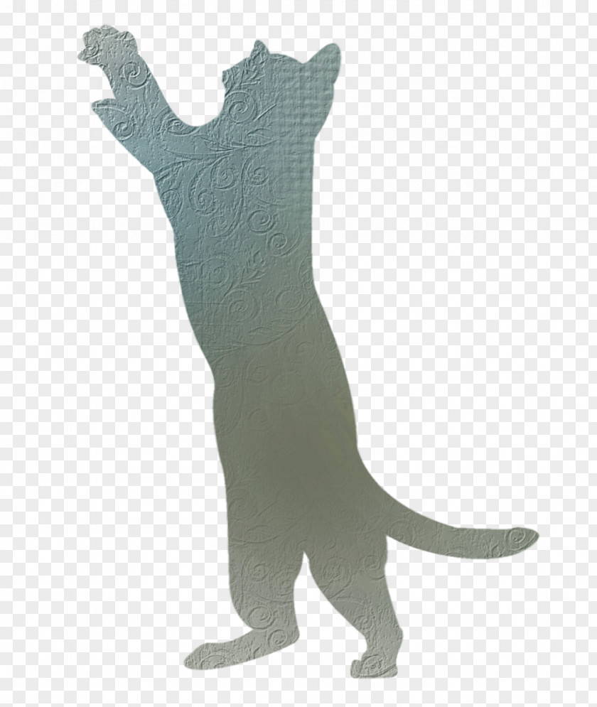 Standing Cat Black Kitten PNG
