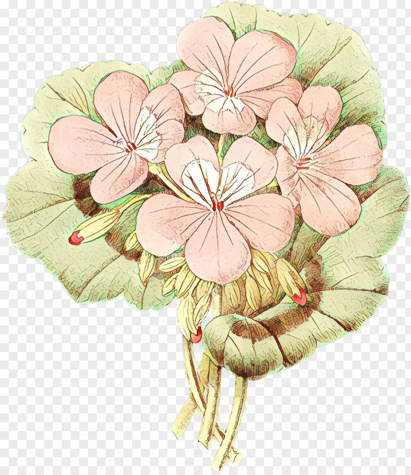 Blossom Geranium Flower Pink Petal Plant Clip Art PNG