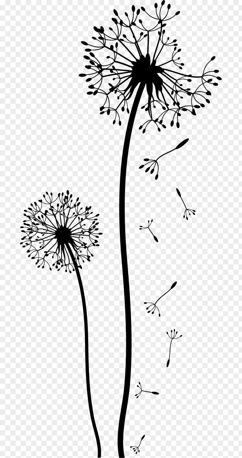 Flower Wall Dandelion Drawing Black And White Clip Art PNG