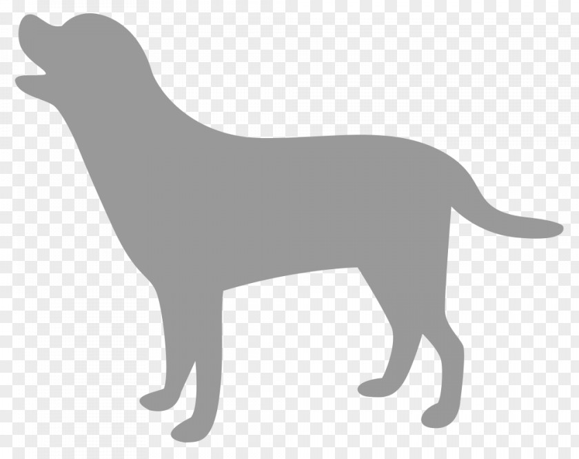 Puppy Labrador Retriever Dog Breed Sporting Group PNG