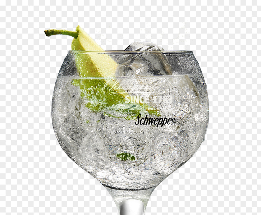 Vodka Gin And Tonic Water Grey Goose PNG