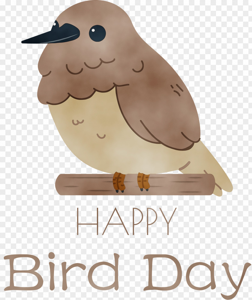 Bird Of Prey Beak Birds Meter Font PNG