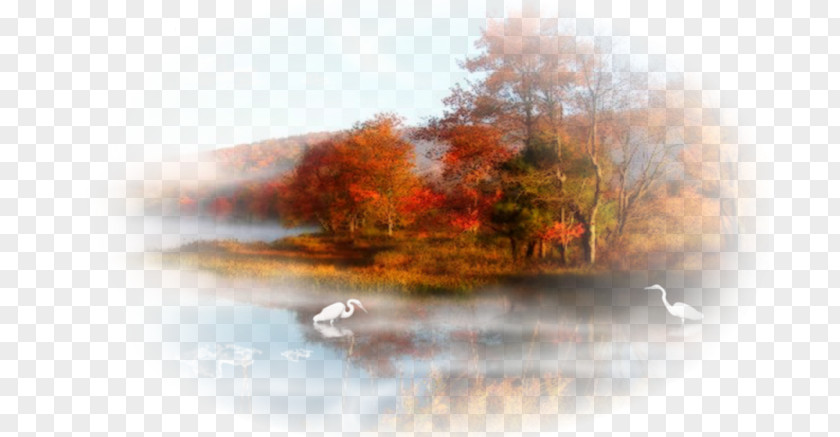 Desktop Wallpaper High-definition Television .com Autumn PNG