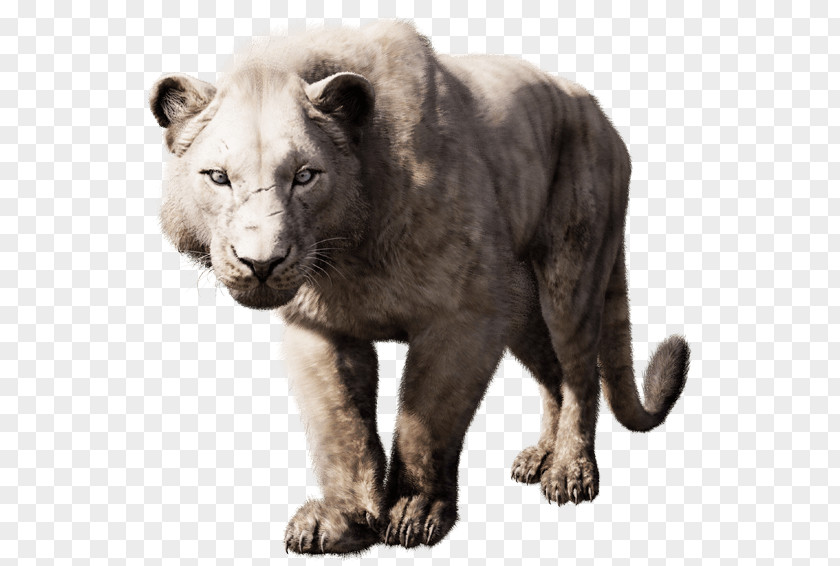 Far Cry Primal 4 Panthera Leo Spelaea Saber-toothed Cat PNG