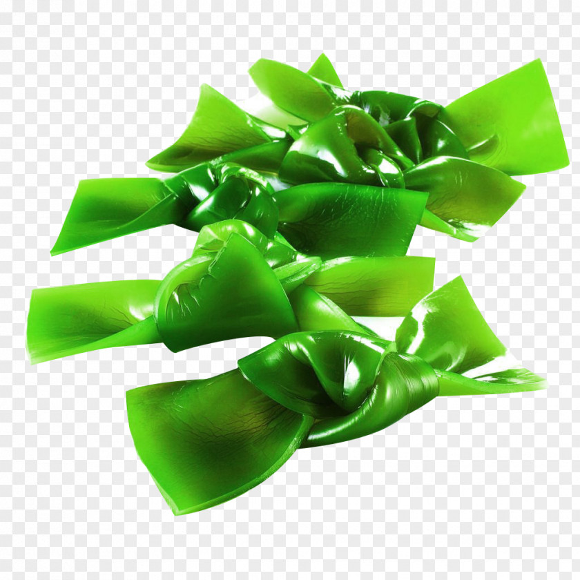 Green Sea Belt Knot Food Material Miyeok-guk Saccharina Japonica Vegetable Kombu PNG