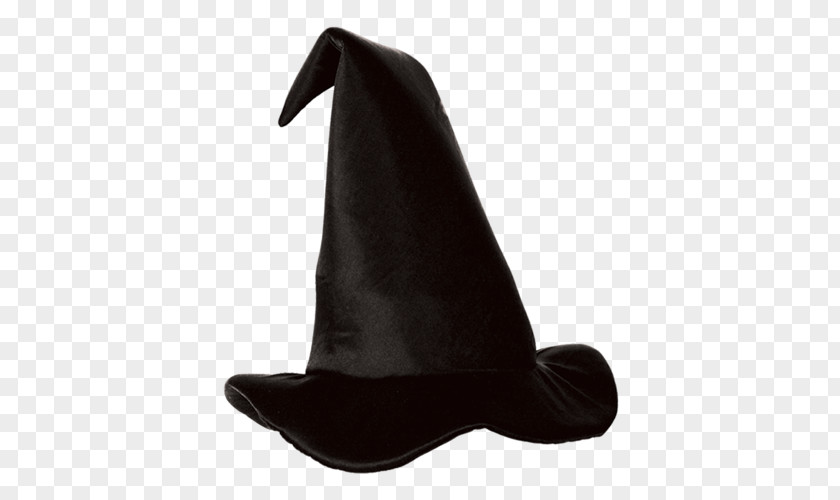 Hat Witch Wicked Of The West Glinda Witchcraft PNG
