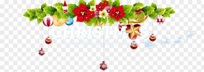 New Year Celebration Food Christmas Day Holly Garland Greeting & Note Cards PNG