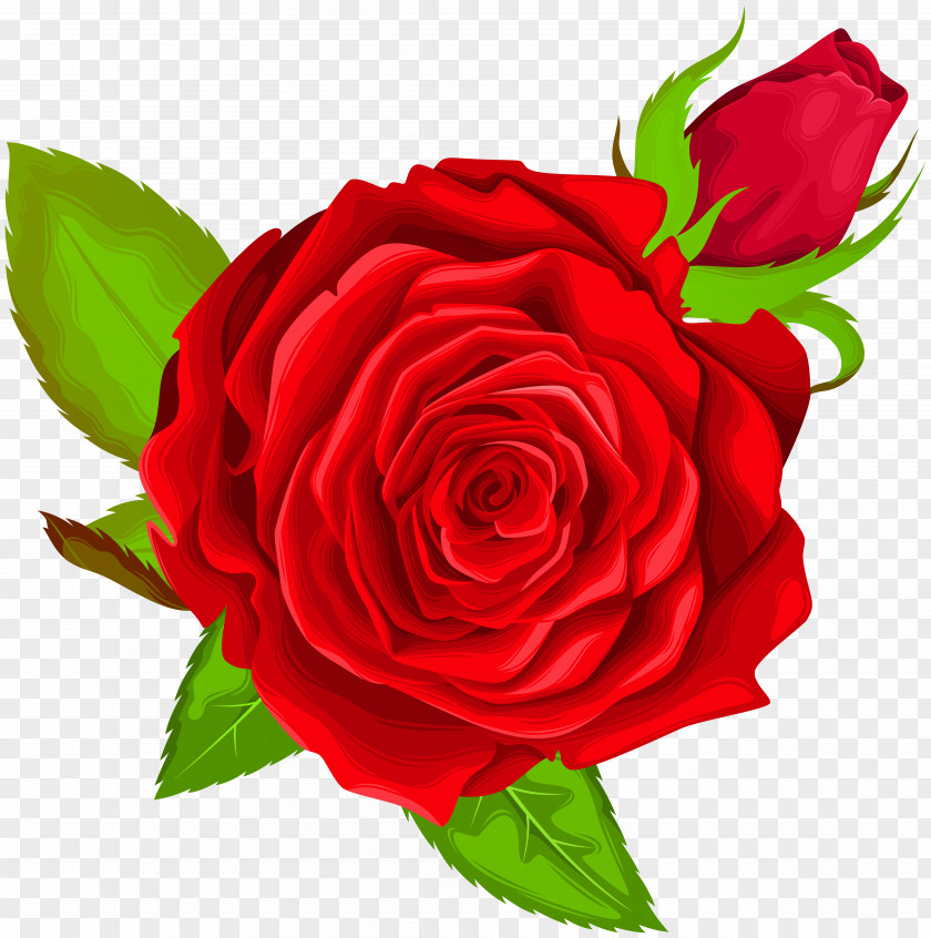 Red Rose Decorative Clip Art Image Icon PNG