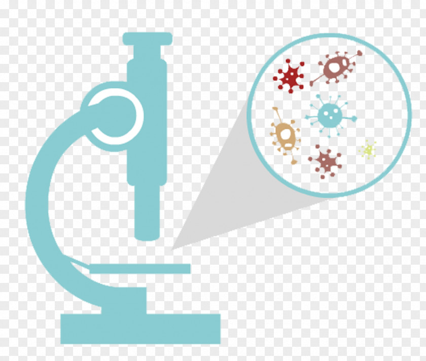 Bacterial Health Under The Microscope Bacteria Clip Art PNG
