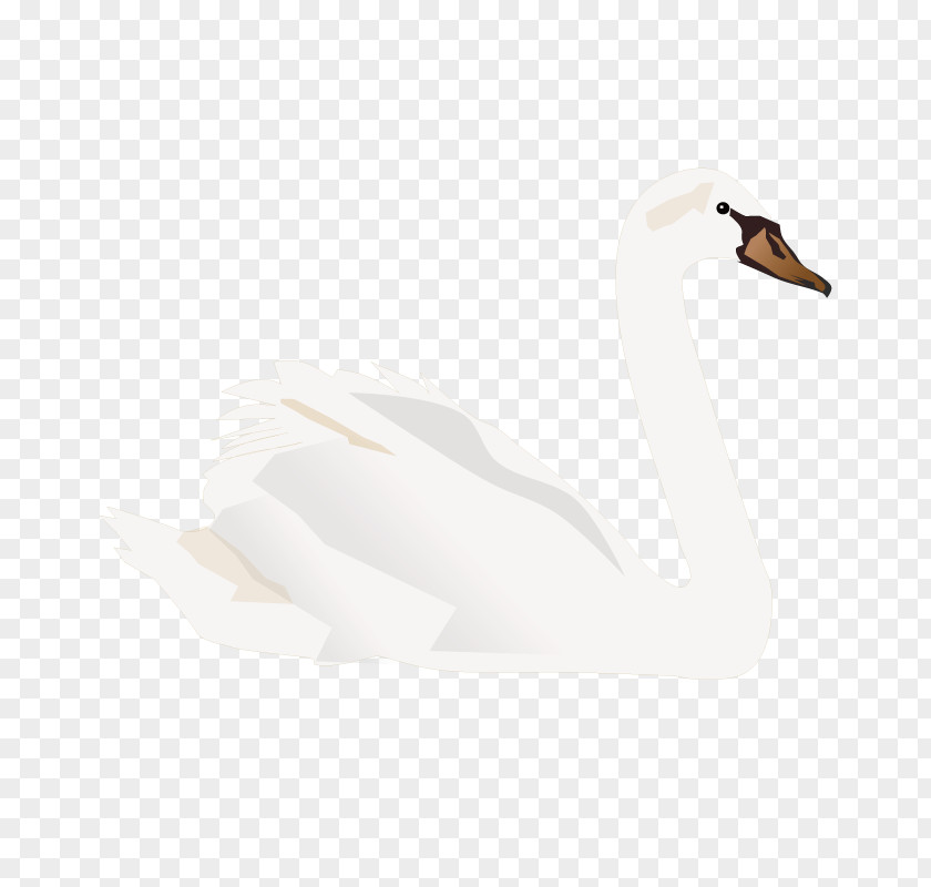 Big White Goose Duck Domestic Cygnini PNG