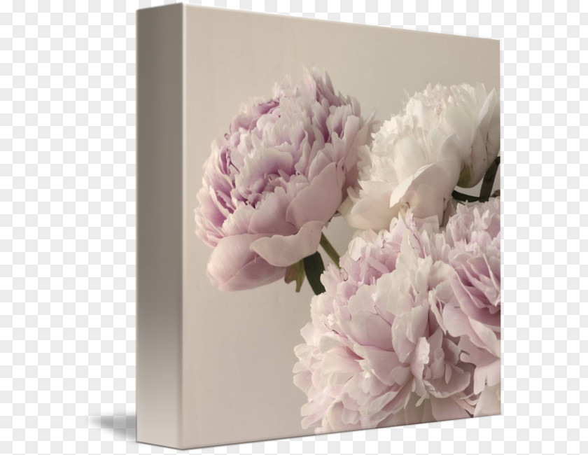 Creative Peony Floral Design Flower Art Painting PNG