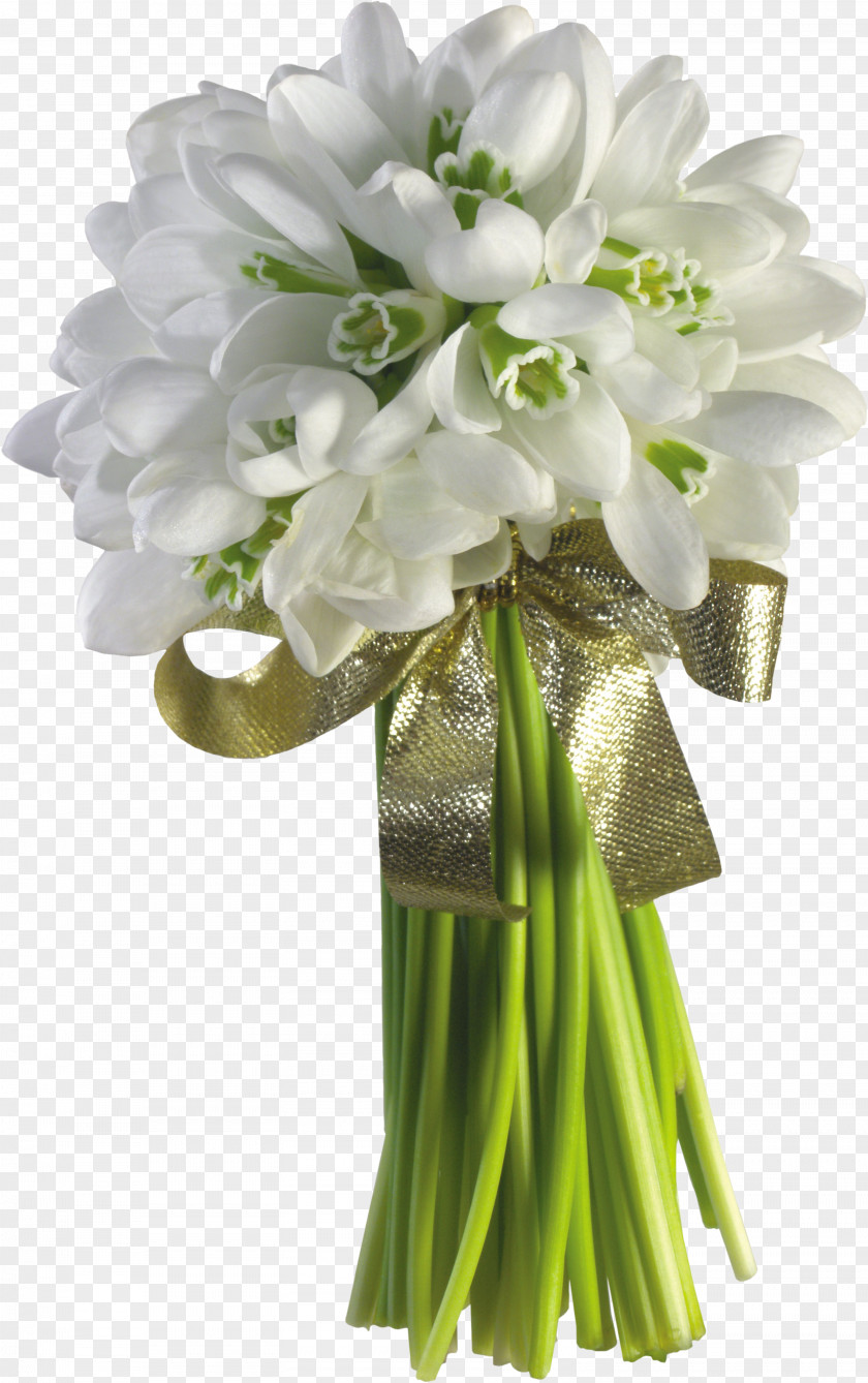 Happy Spring Snowdrop Flower Bouquet Tulip Garden Roses PNG