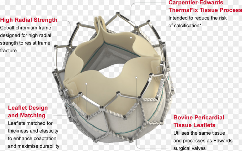 Heart Valve Percutaneous Aortic Replacement Edwards Lifesciences PNG