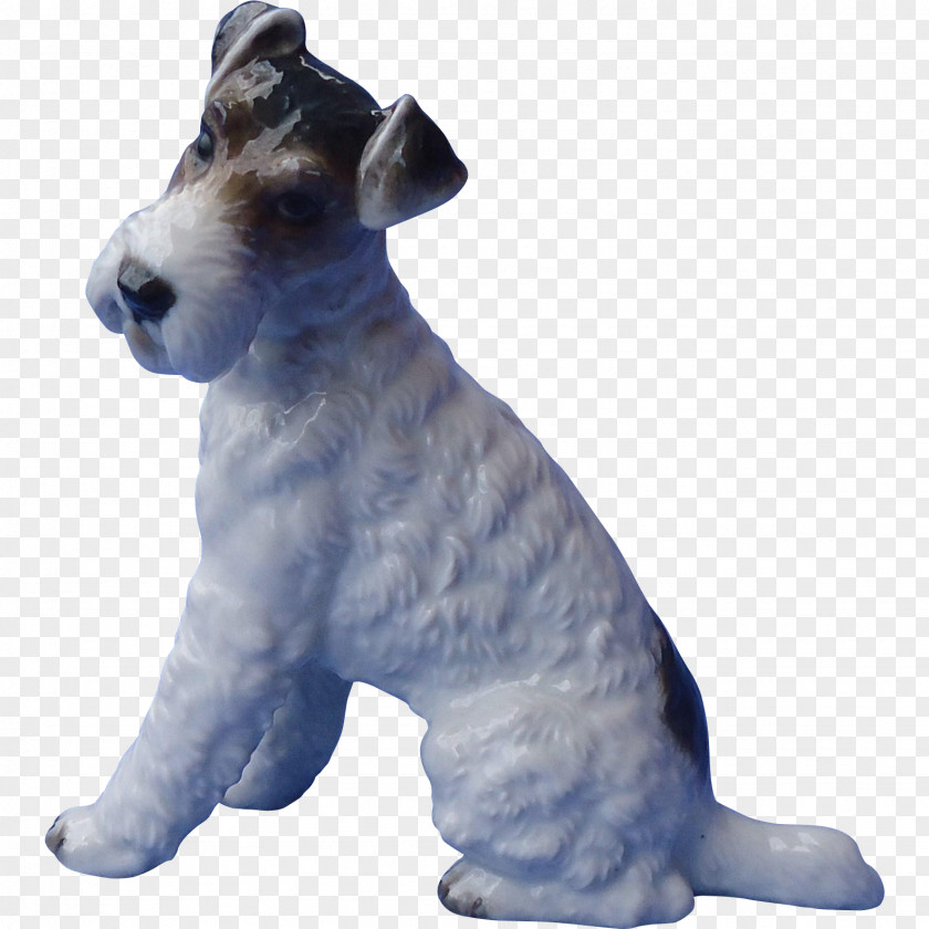Jack Russell Terrier Miniature Schnauzer Wire Hair Fox Lakeland Dog Breed PNG