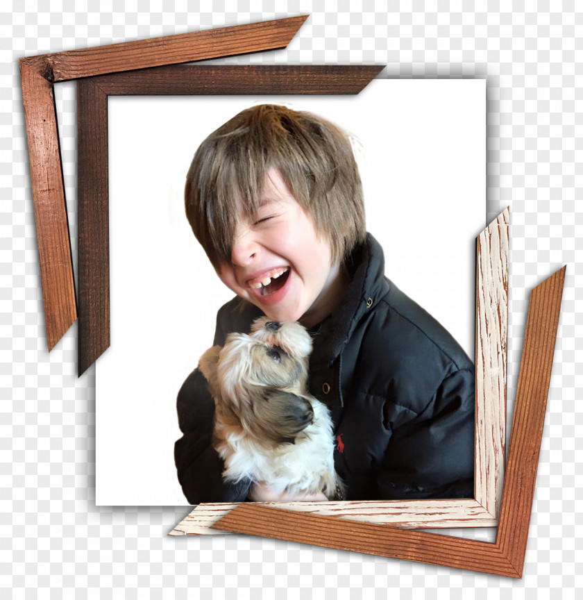 Preservation Puppy Dog Breed Picture Frames PNG