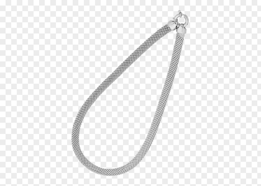 Ball Chain Dog Tags Silver Jewellery PNG