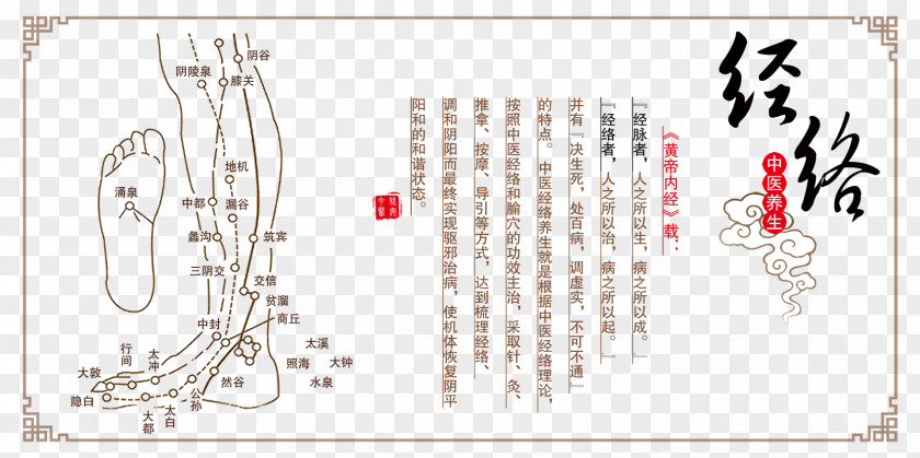 Chinese Medicine Meridian Health Poster Material Traditional Drievoudige Verwarmermeridiaan Akupunktiopiste San Jiao PNG