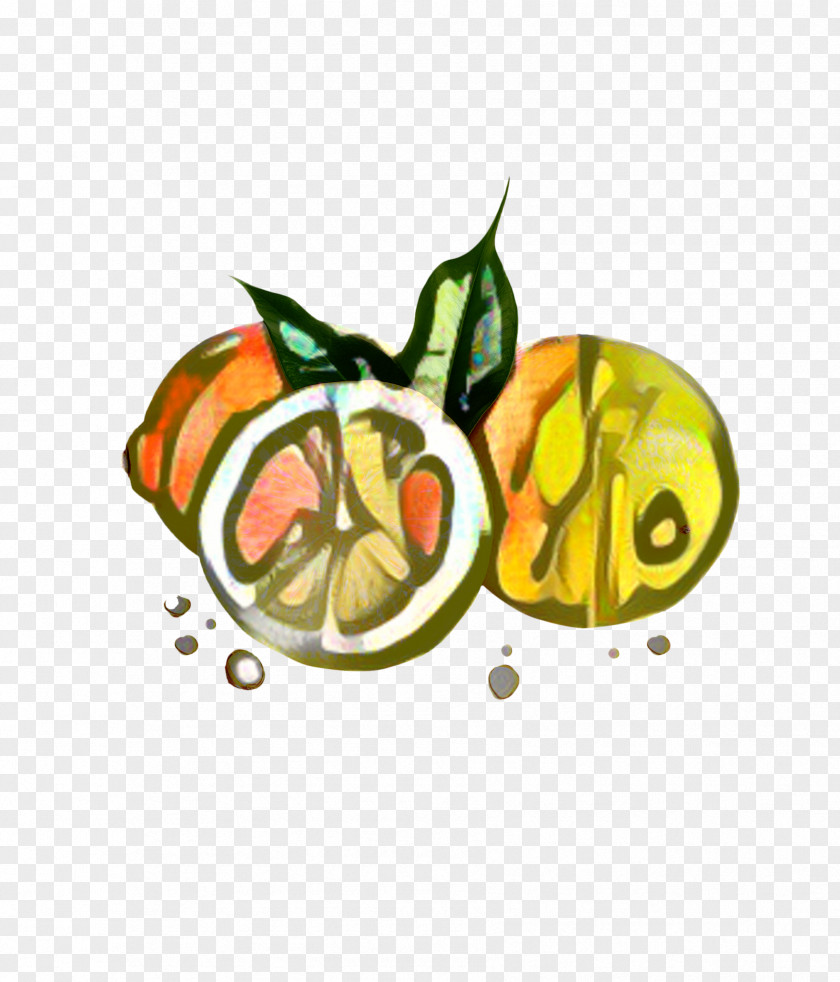 Citrus Clip Art Vegetable PNG
