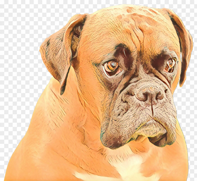 Ear Giant Dog Breed Cartoon PNG