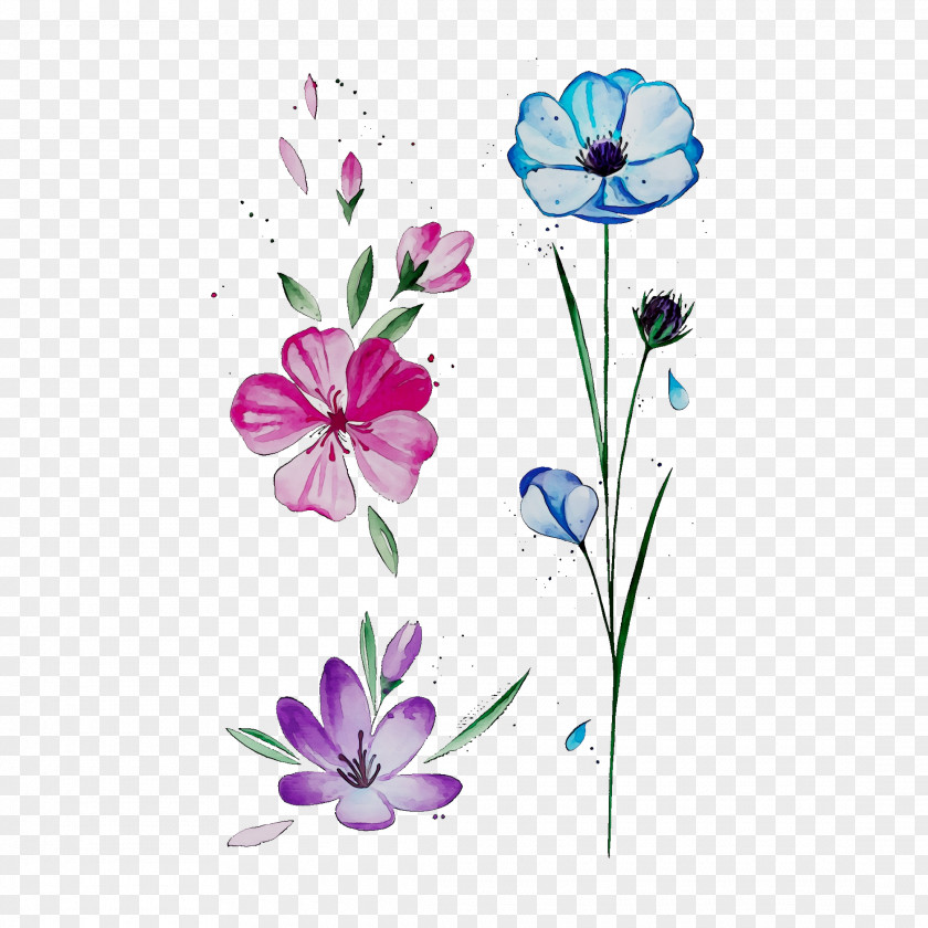 Floral Design Kiev Torgovyy Tsentr Shchelkovo Cut Flowers PNG