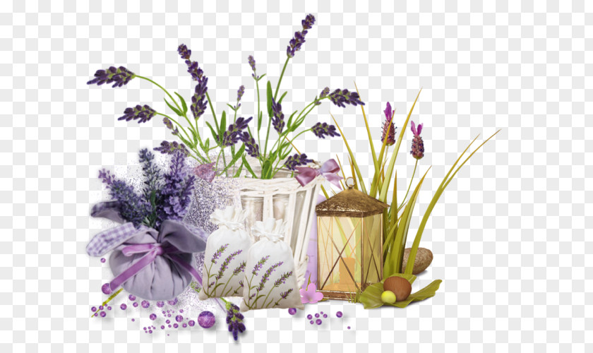 Flower English Lavender Cut Flowers French Plant PNG