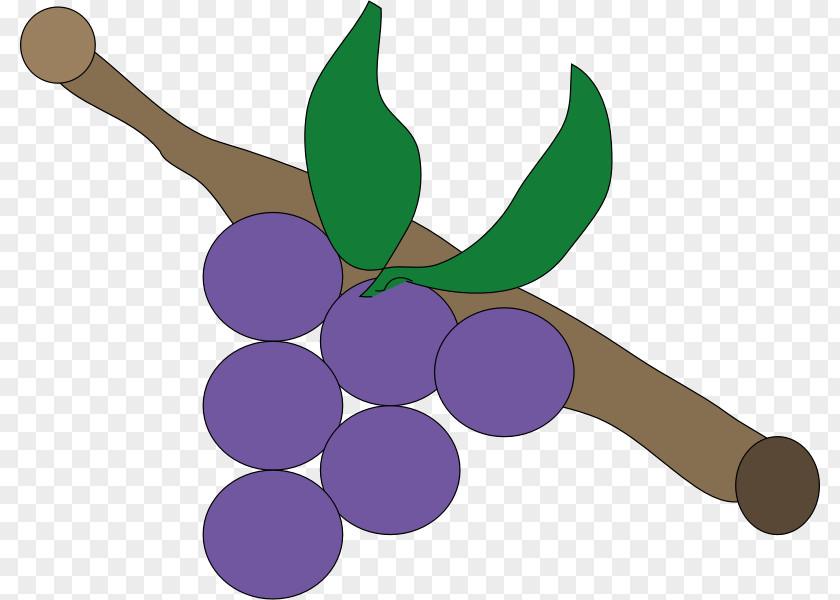 Grape Purple Grapevines Clip Art PNG