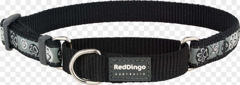 Red Collar Dog Cat Dingo PNG