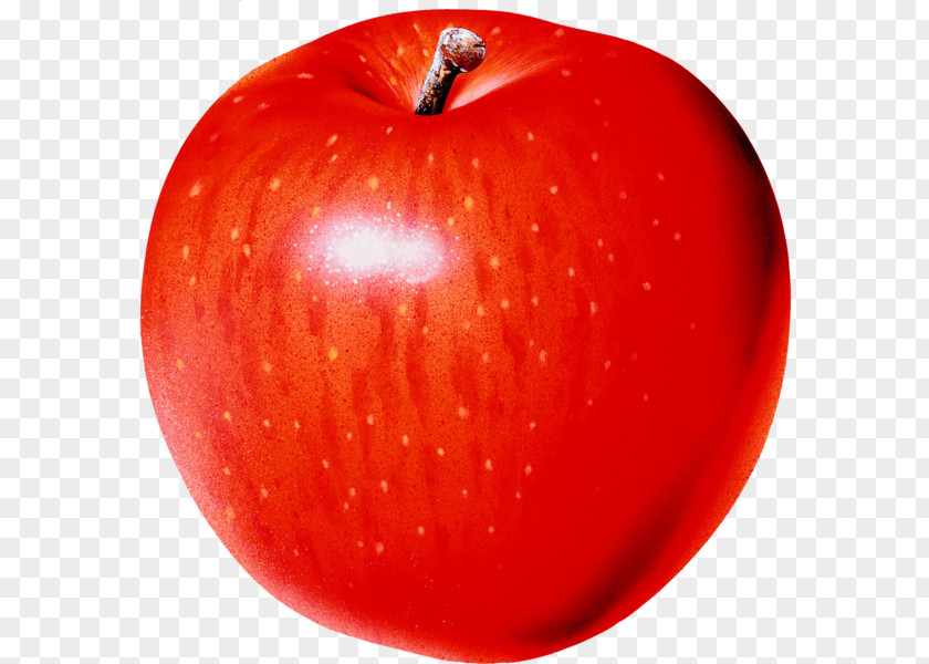 Apple Clip Art PNG