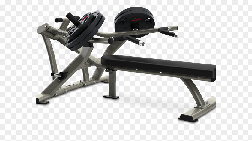 Bench Press Indoor Rower Exercise Equipment Fitness Centre PNG
