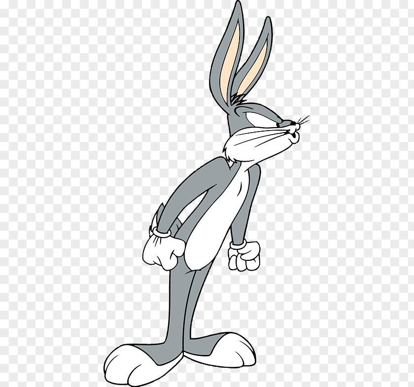 Bugs Bunny Looney Tunes Photography Pepé Le Pew PNG