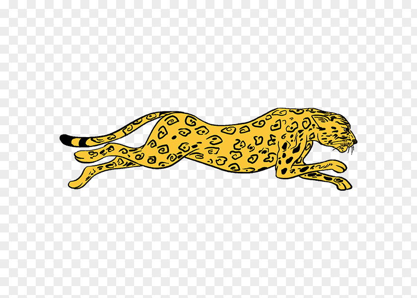 Cheetah Lion How To Draw Big Cats Drawing PNG