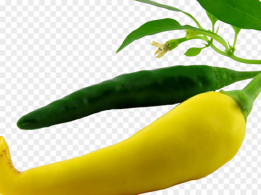 Green Pepper Bell Chili Vegetable Fruit Yellow PNG