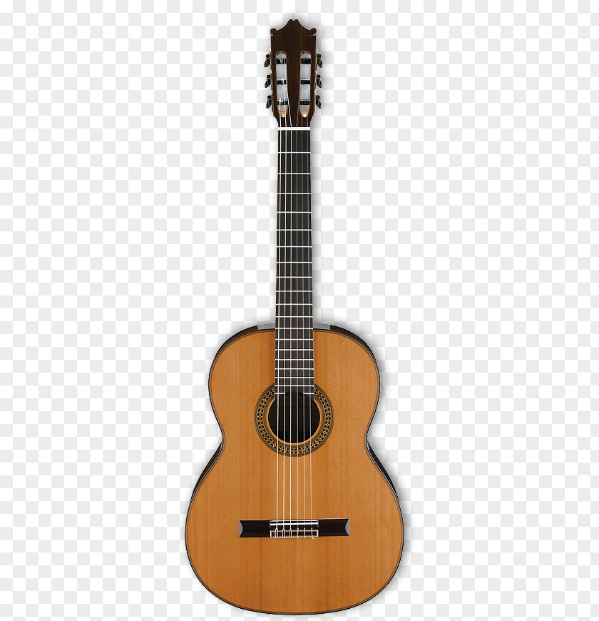 Fender Musical Instruments Corporation Classical Guitar Acoustic Acoustic-electric Ramírez Guitars PNG