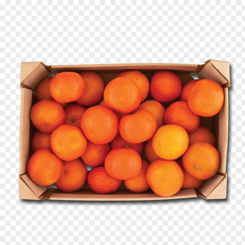 Fresh Material Tangerine Vegetarian Cuisine Mandarin Orange Food Clementine PNG