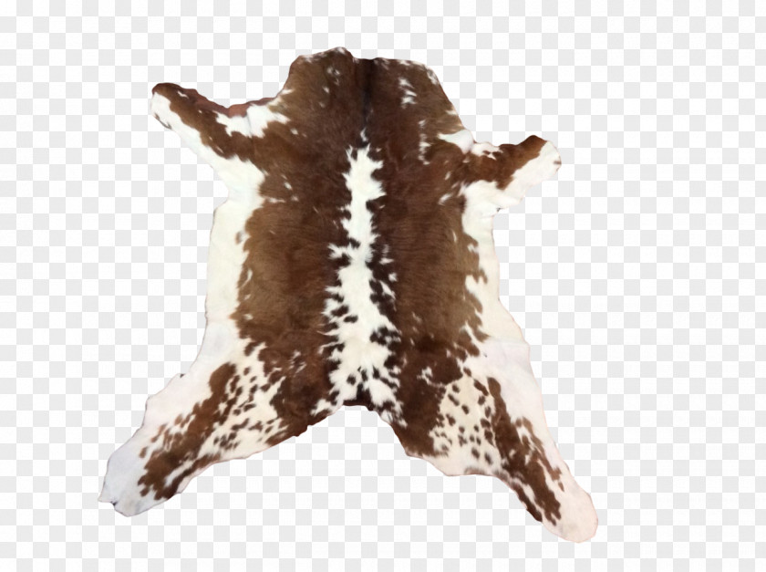 Speckled Fur Animal PNG