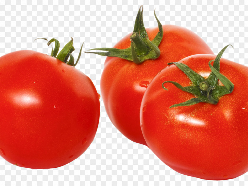 Tomato Clip Art Juice Transparency PNG