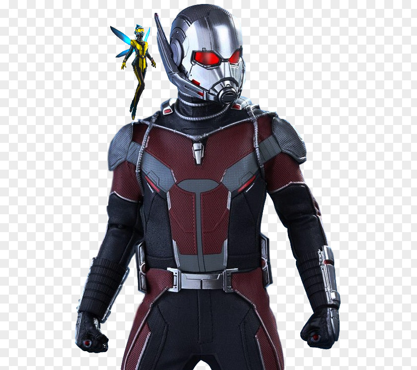Ants Iron Man Hank Pym Wasp Captain America PNG