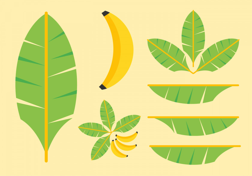 Banana Leaves Leaf Clip Art PNG