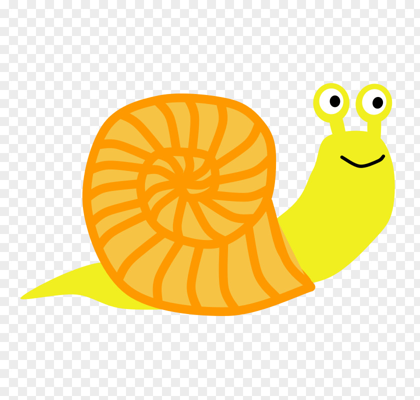 Cartoon Snail Clip Art PNG