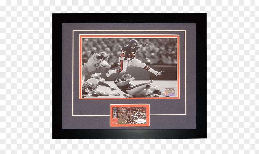 Chicago Bears 1975 NFL Draft Sports Memorabilia PNG