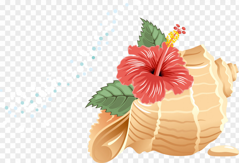 Conch Cartoon Beach Clip Art PNG