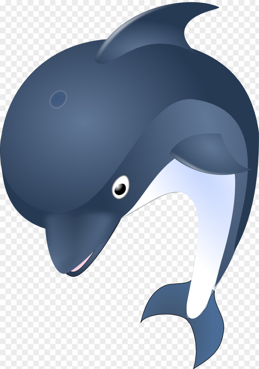 Illustrations Common Bottlenose Dolphin Clip Art PNG