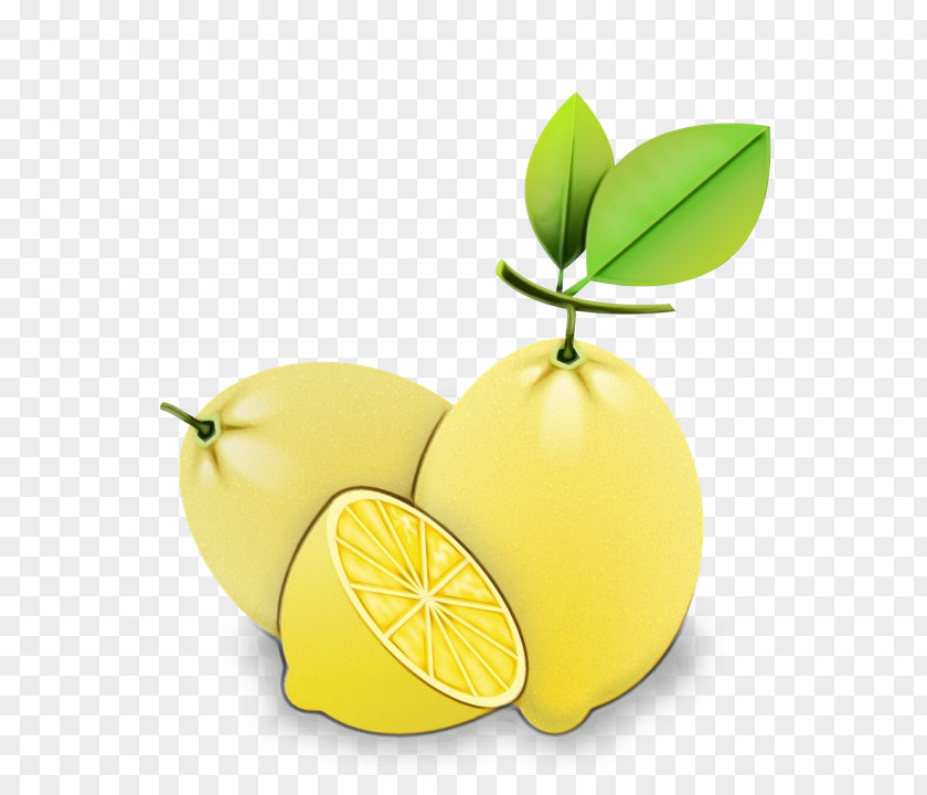Lemon Citron Persian Lime Sweet PNG