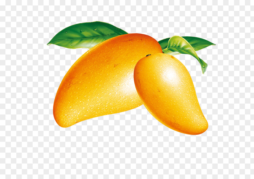 Mango Ice Cream Fruit PNG
