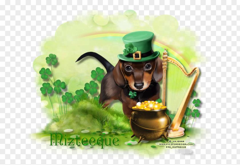 Saint Patrick Dachshund Puppy Blog PNG