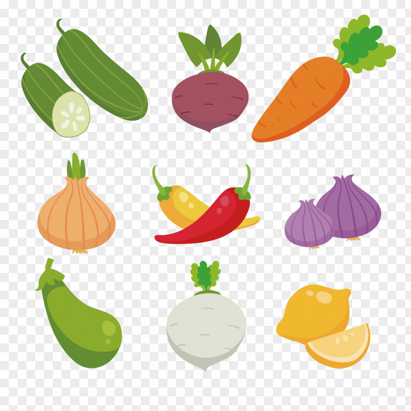 Colored Fruits And Vegetables Collection Radish PNG
